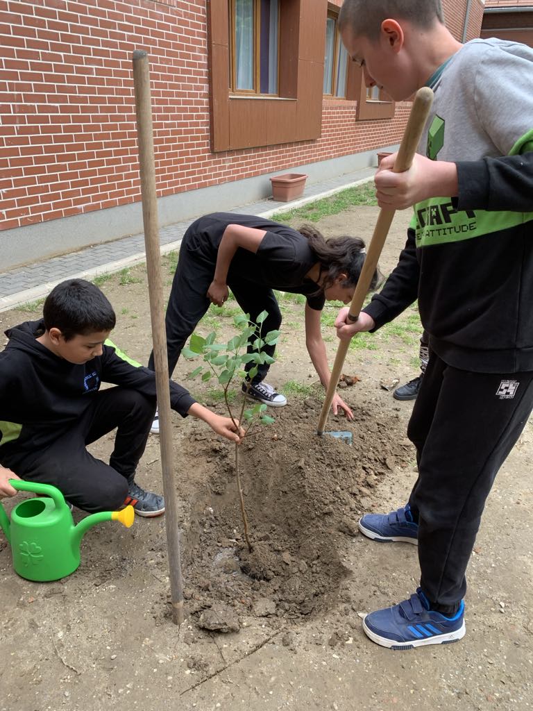 fuge_es_orgonafakultetese04