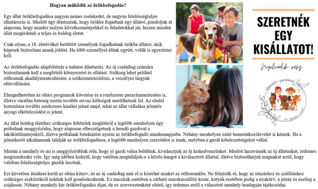 hogyan_mukodik_az_orokbefogadas_1