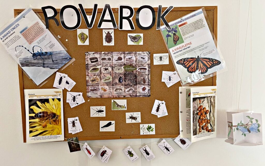 Vadon_élő_állatok_rovarok